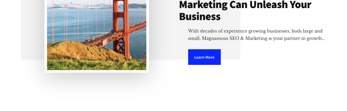 Magnamous San Francisco marketing agency